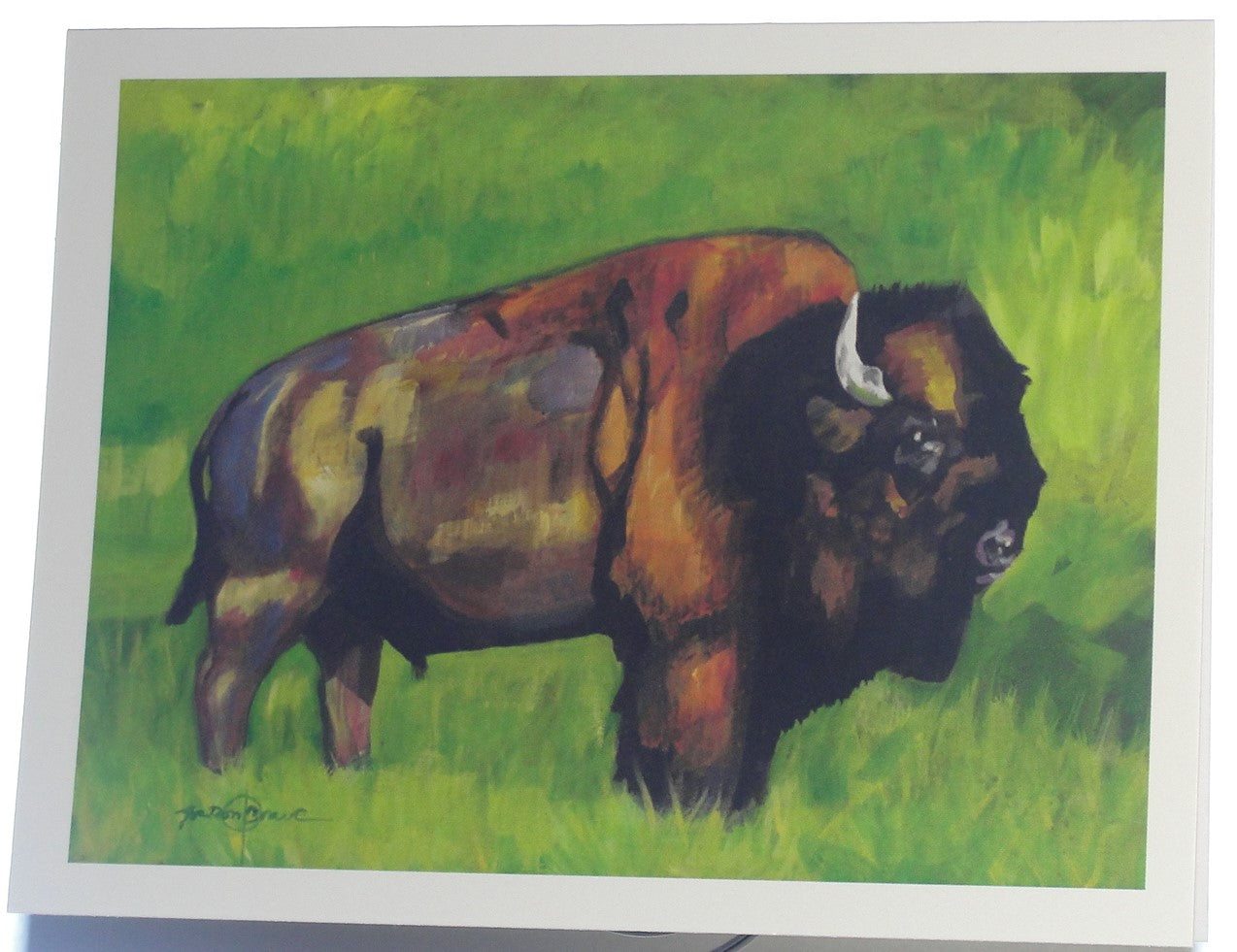 Note card, Bison in early Spring