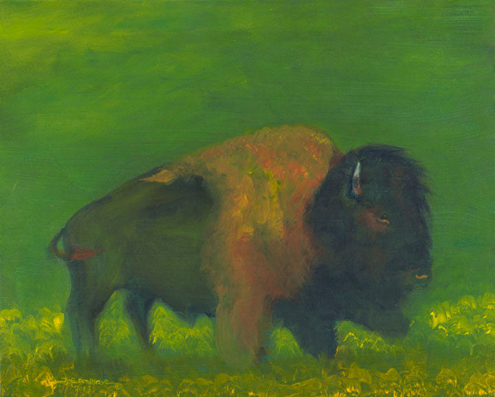 Print, Single Bison in Osage County