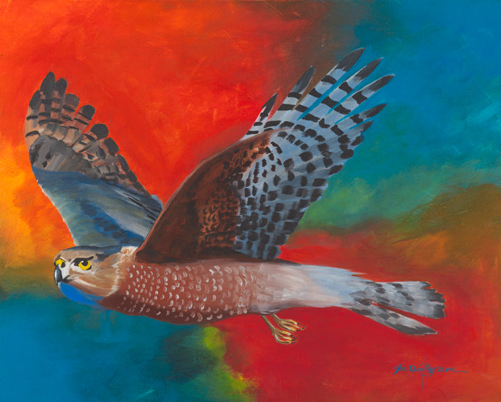Note card, Cooper's Hawk