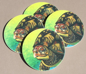Coasters, Set of 4, The Turtle