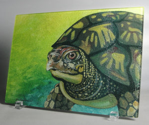 Cutting Board, Glass, The Turtle