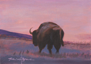Print, Bull Bison at Sunset
